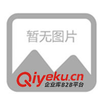 供應廣東佛山刮開留字標簽/揭后留字數碼防偽標(圖)